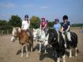Pegasus Riding School image 3