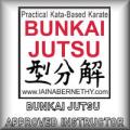 Zen Karate Jutsu logo