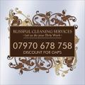 BLISSFUL CLEANING SERVICES logo