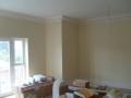 AJB Plastering & Property Maintenance image 3