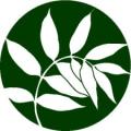 Alison York Holistic Massage Therapist logo