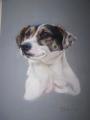 Pet Portraits. John Graham Art. image 5