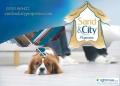 Sand & City Properties logo