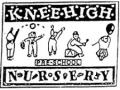 Nursery Schools Newquay - Kneehigh Pre School Nursery logo