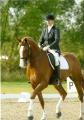Equessentials LLP image 5