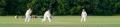 Sandridge Cricket Club | St Albans logo