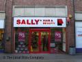 Sally Salon Services logo