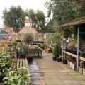 Charlecote Garden Store image 7