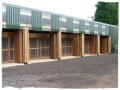 Lords Hill Cattery image 1