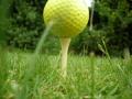 Green Tee Golf image 3