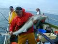 Portpatrick Charters image 2