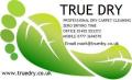 TRUE DRY logo