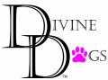 Divine Dogs logo