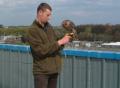 Cumberland Bird of Prey Centre image 5