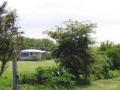 Lower Treave Caravan and Camping Park image 7