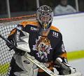 Telford Tigers image 4