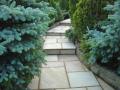 Blaine Neaves Landscaping Contractor image 4