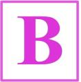 Brayne Associates logo