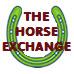 The Horse Exchange - Horses For Sale image 1