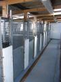 Rora Boarding Kennels and Cattery Limited image 5