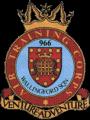 966 (Wallingford) Air Cadets logo
