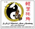 SAS Martial Arts Academy - Wing Chun London logo