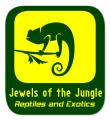Jewels Of The Jungle logo
