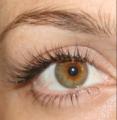 Evanescence Permanent Makeup image 3