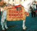 Asian Wedding Horses image 6