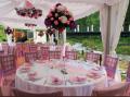 Fabulous Chair Covers image 1