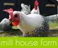 Mill House Farm Ltd image 1