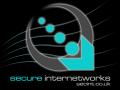 Secure Internetworks Ltd logo
