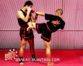 KO Gym (Muay thai - MMA) image 2