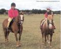 Horsford & District Riding Club image 2