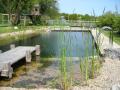 Gartenart Natural Swimming Ponds image 5